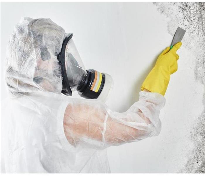 A specialist removing mold from a room